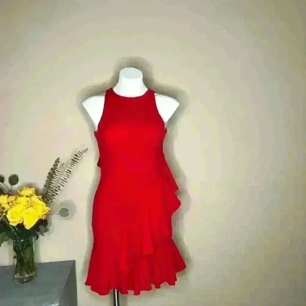 ❤️Michelle A Walk in the Park Ruffle Dress - Picture 4 of 6